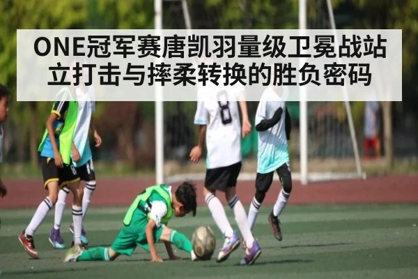 ONE冠军赛唐凯羽量级卫冕战站立打击与摔柔转换的胜负密码