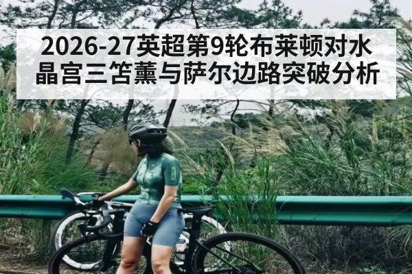 2026-27英超第9轮布莱顿对水晶宫三笘薰与萨尔边路突破分析